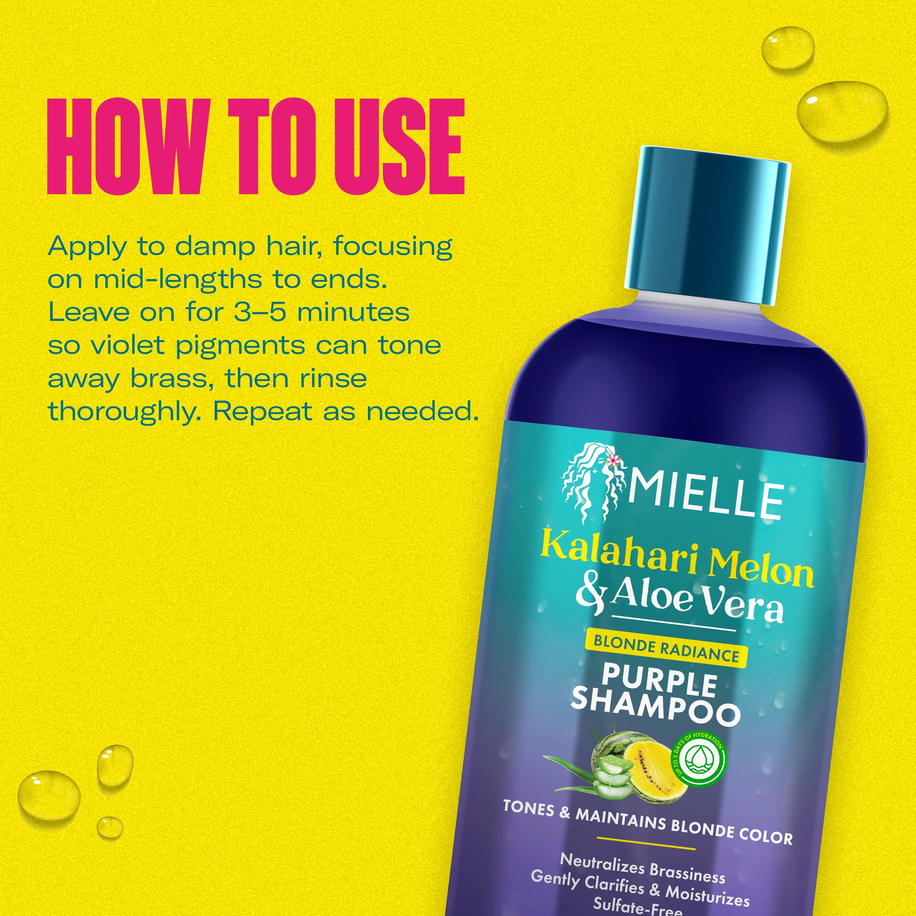 Mielle Kalahari Melon & Aloe Vera Blonde Radiance Purple Shampoo 12 oz