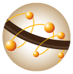 CREME OF NATURE - EXOTIC SHINE COLOR - PERMANENT HAIR COLOR - 1 APPLICATION