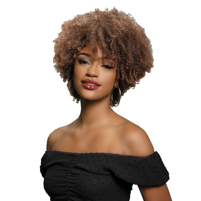 Janet Collection Natural Curly Premium Synthetic Full Wig - NATURAL AFRO PLES - Hollywood Beauty STL